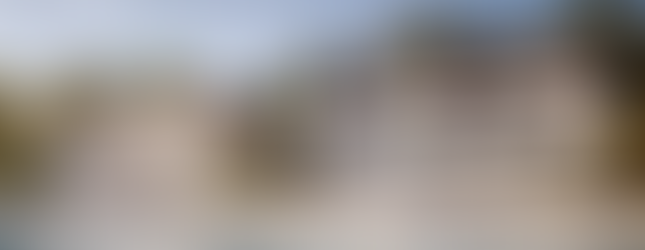 Palm Jebel Ali Master Plan Breakdown