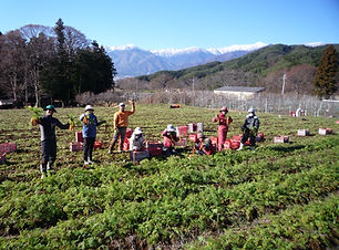 P1020623.JPG