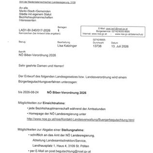 NÖ-Biberverordnung 2026 - Bürgerbegutachtung