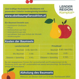 Obstbaum-Pflanzaktion 2025