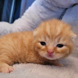 378135220_654744990087195_539516802562177571_n