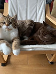 IMG-20201216-WA0018.jpg