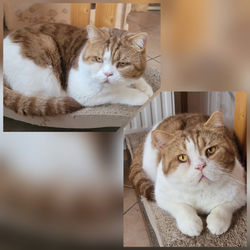 Polish_20220119_101226932