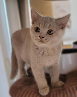 c1672a90-a74f-49c3-b709-e2e9fe5cb2d7