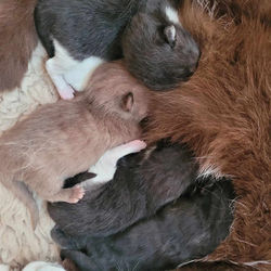 437971921_1145059730016159_1205973276185247679_n