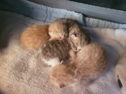 372789061_1018291952705017_7076181605401444273_n