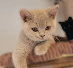 d9b047ef-f267-4aa8-8de4-341306a5bbc2