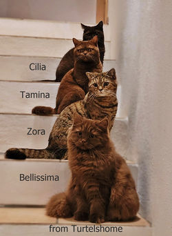 d0a43356-6493-438f-8f52-2bd4996c031e