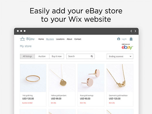 eBay Store banner