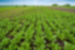 Travaux agricoles Beauverd Malherbe SA