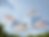 a5335f0a-ab22-4653-bf0e-ce1a3b46e46c.png