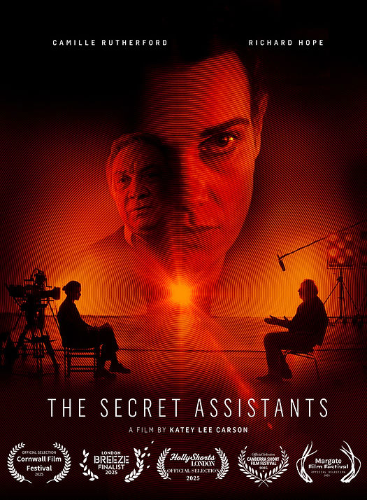 TheSecretAssistants_Posterw5Laurels.jpeg