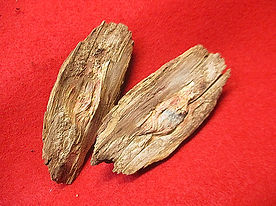 IMG_5473_edited.jpg