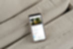 Phone Mockup.jpg