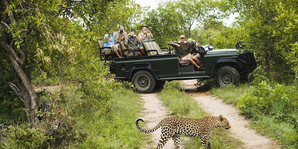 Find Your True Nature 2021 Yoga Safari Retreat