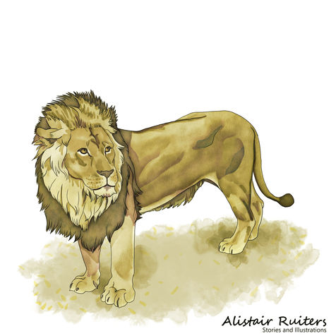 lion look back post.jpg