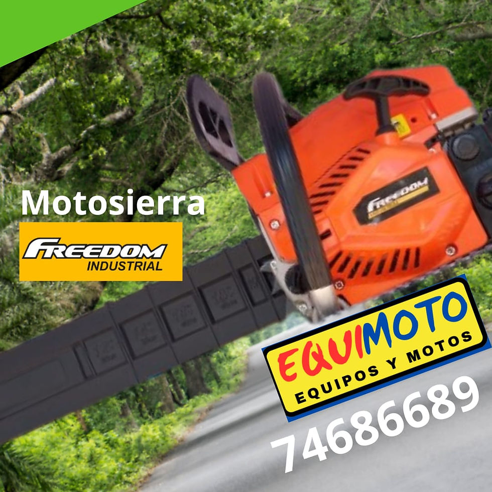 MOTOSIERRA