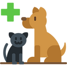 Pet