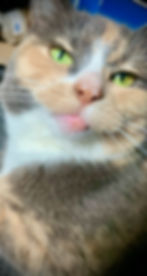ree