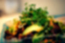 7518864048__MG_1975_edited_edited.jpg