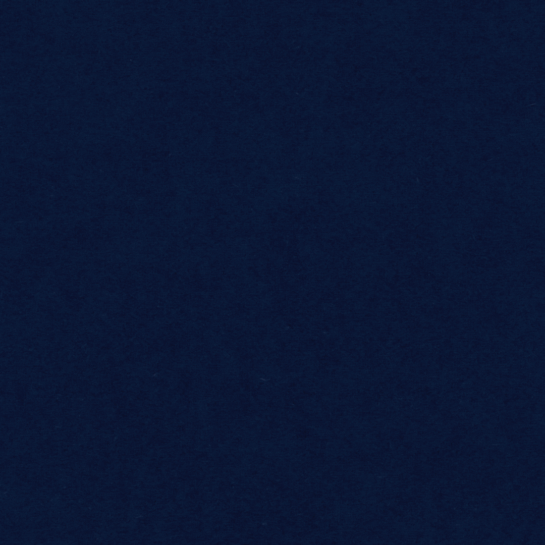 FULLOUT WEBSITE.gif