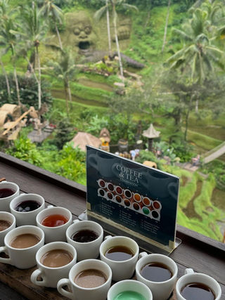 COFFEE PLANTATION UBUD