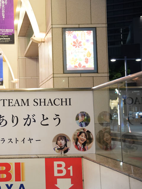 シャチとの待ち合わせにナナちゃん特集ページ | TEAM SHACHI HAPPY