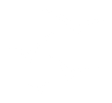 birds (1).png