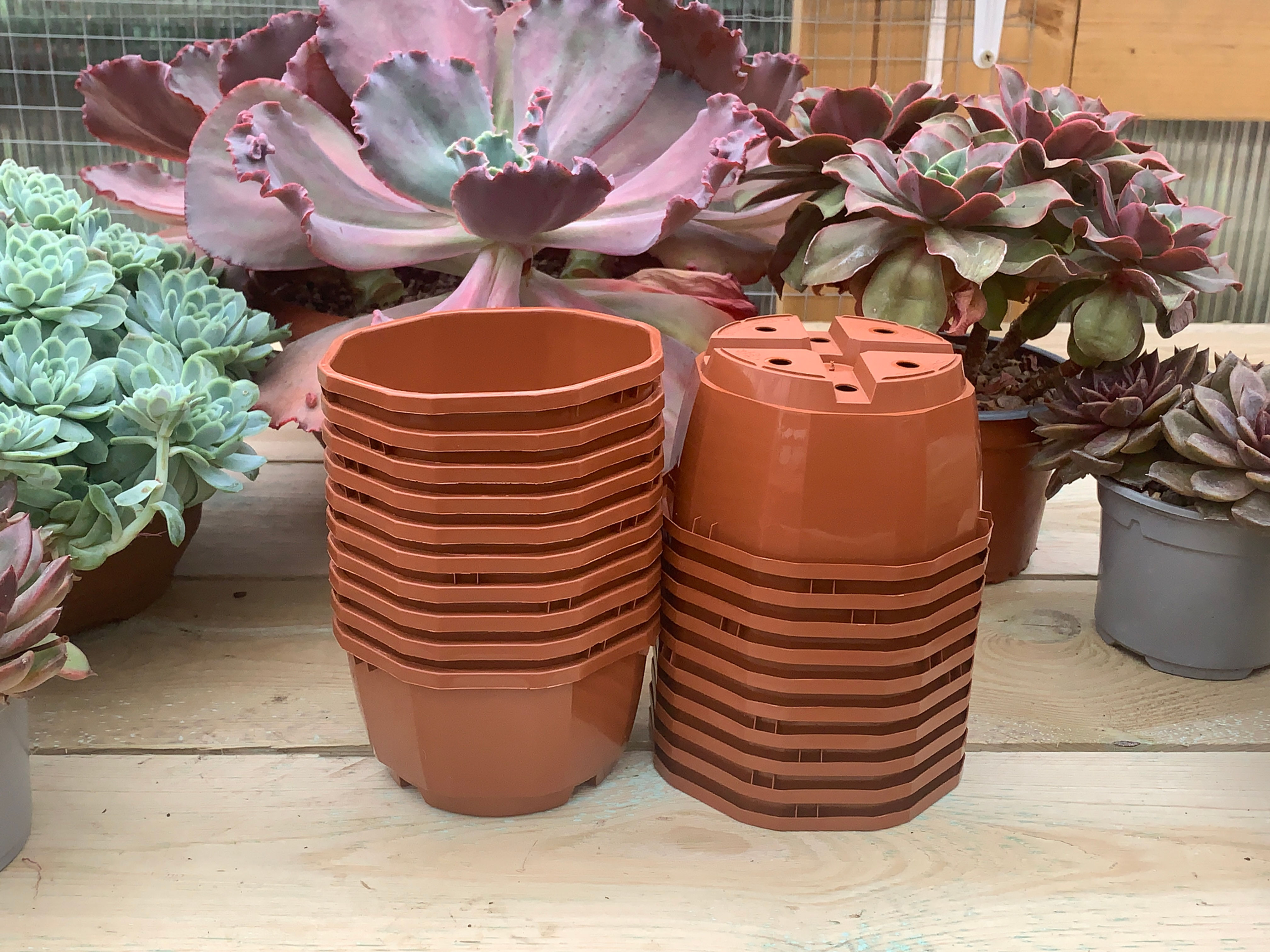 20 x Decor 12cm Octagonal Bowls