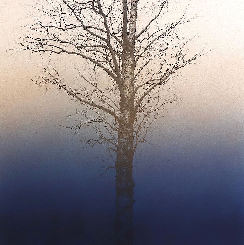 In the Air     2019