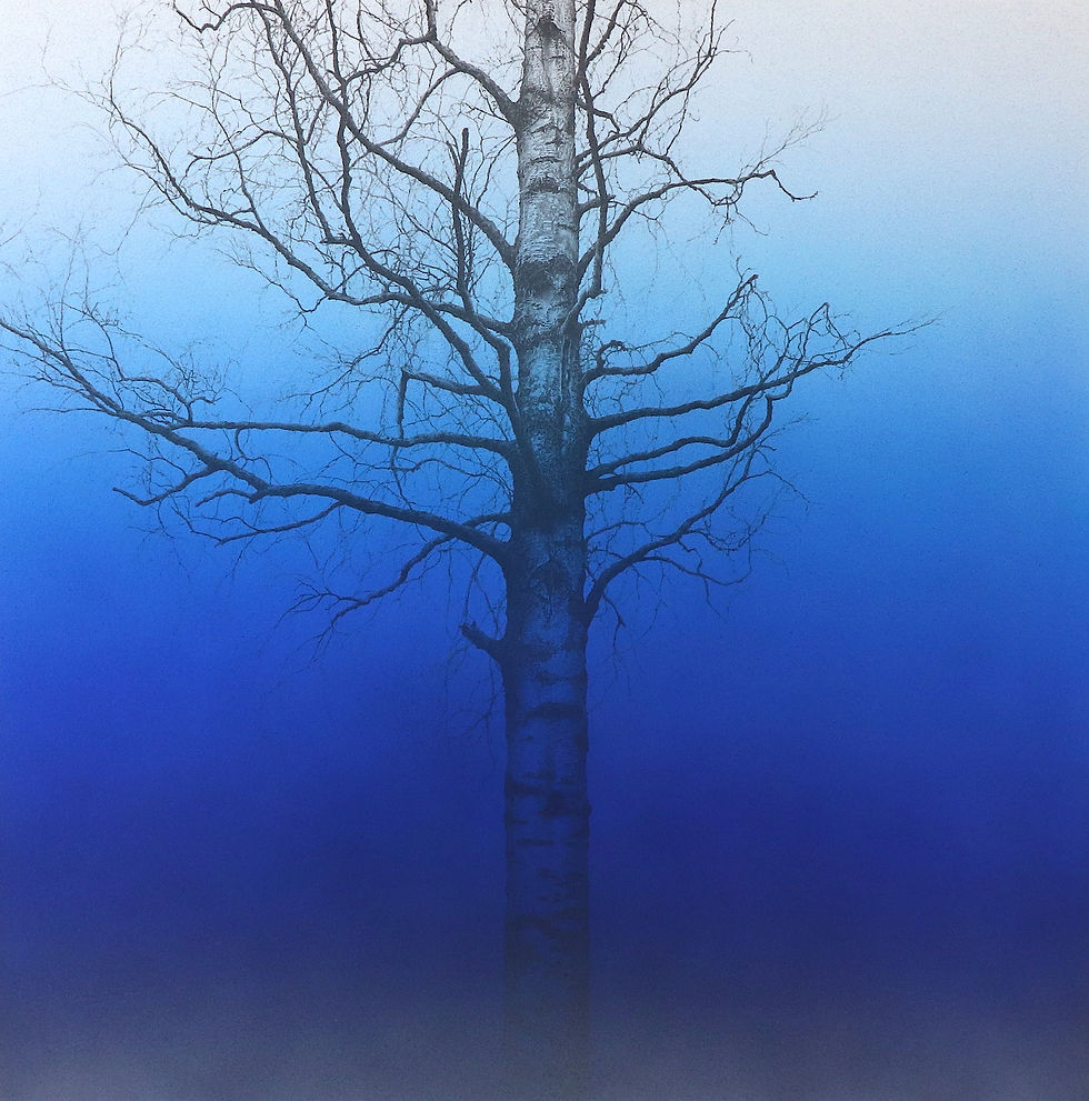 In the Air     2019