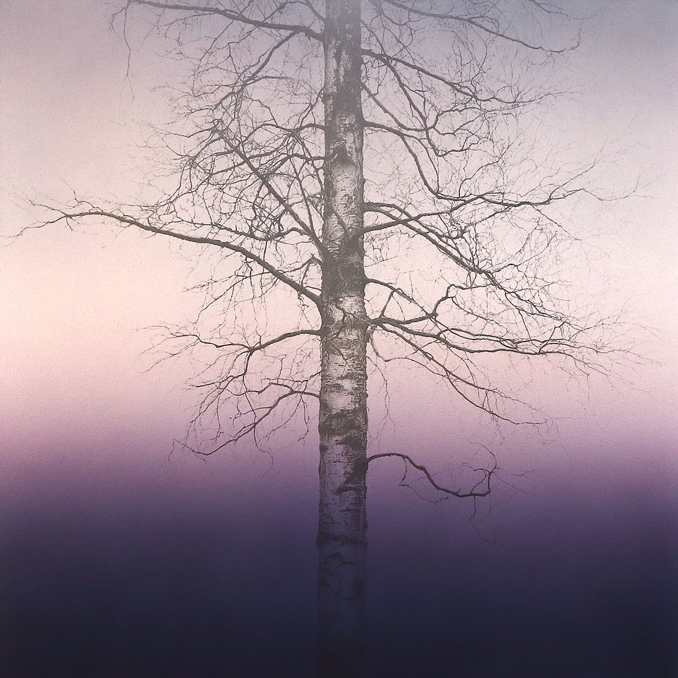 In the Air     2019