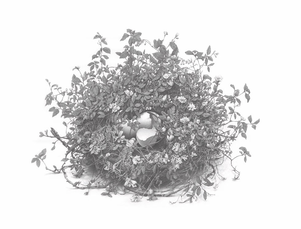 Lämmin paikka     2018