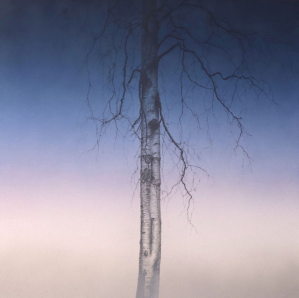 In the Air     2019