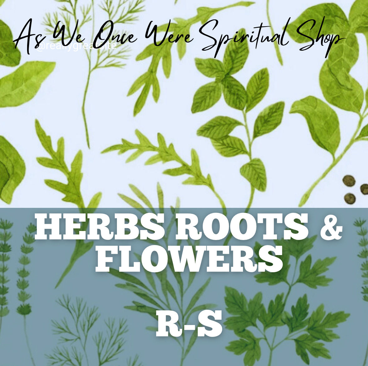 Herbs R-S