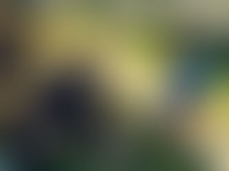 Научно-исследовательская деятельность