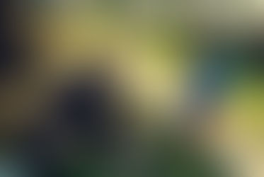 Научно-исследовательская деятельность