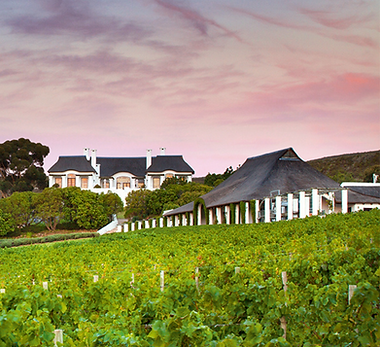 The Bouchard Finlayson buildings lay against a purple/pink sunset sky with vines in front of the buildings.