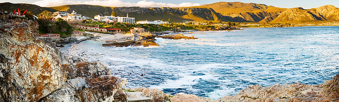 Drone shot of the town Hermanus, Western Cape, South Africa.