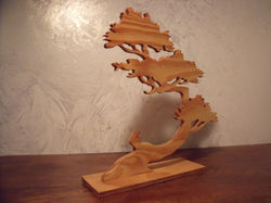 BONSAI
