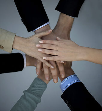 emploi mnle