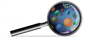 lupa-com-diferentes-tipos-de-virus-na-le