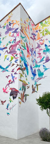 pradejon promo 3 copia.jpg