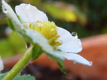 P1050054.JPG