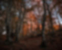 IMG_6349-Edit_18 mm1-20 sec at f - 5.6.jpg