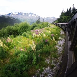 Comparison is the thief of Joy