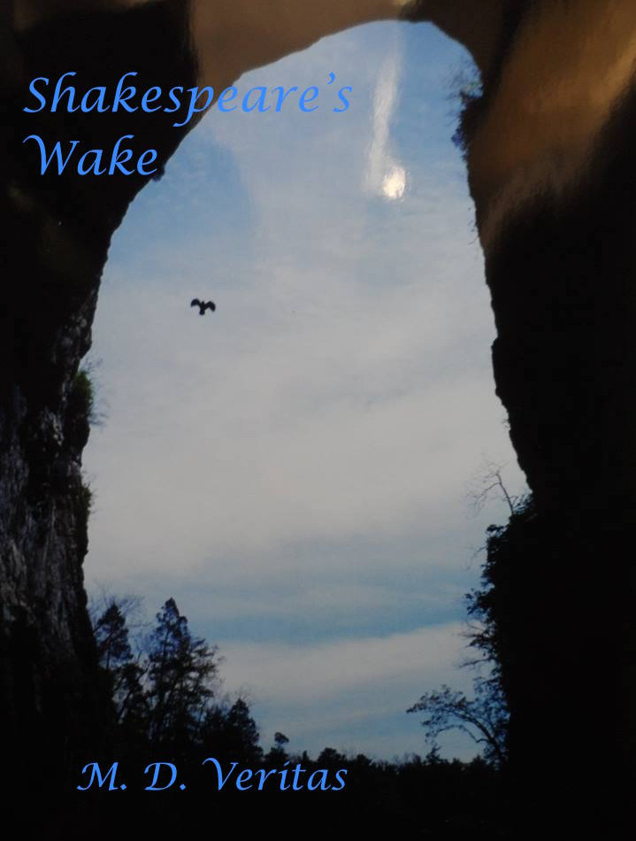 Shakespeare's Wake cover image Blue let.