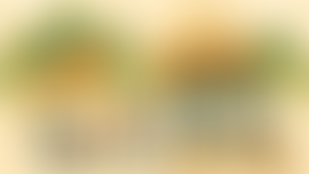 2025大会フリマ出店紹介！