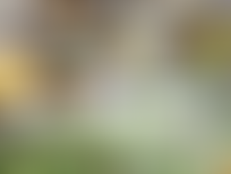 生産者直売所「アルプス市場」