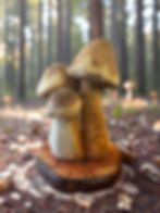Mushroom 